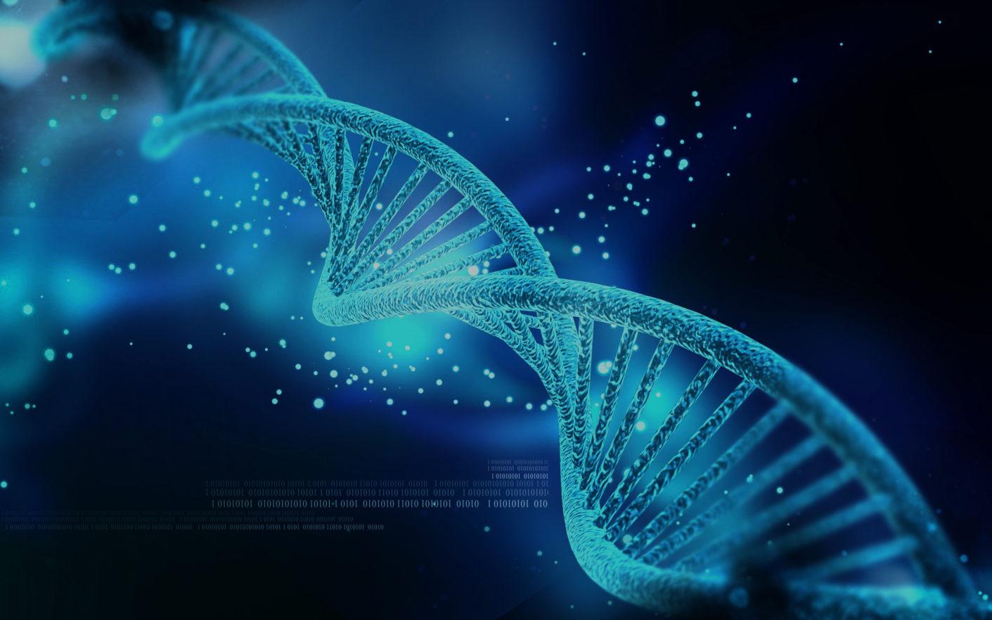 DNA Strain